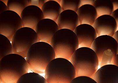 凯时KB88·(中国区)官方网站