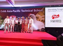 凯时KB88·(中国区)官方网站