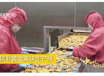 凯时KB88·(中国区)官方网站