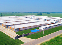 凯时KB88·(中国区)官方网站