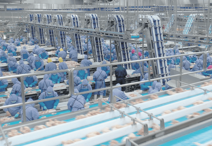 凯时KB88·(中国区)官方网站