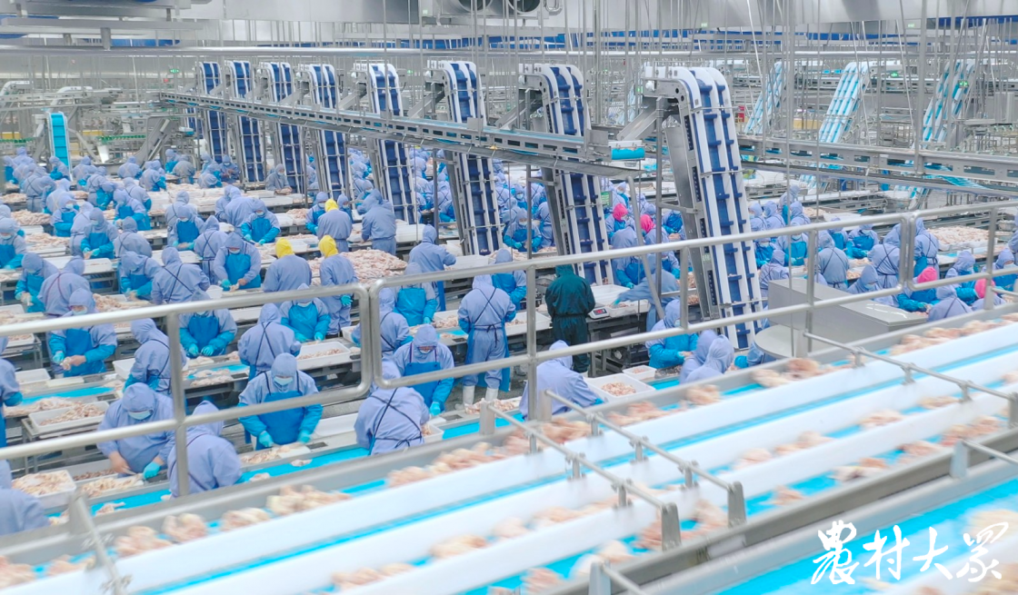 凯时KB88·(中国区)官方网站